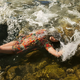 Image for article titled Sensual images of dreamy women are actually incredible oil paintings
